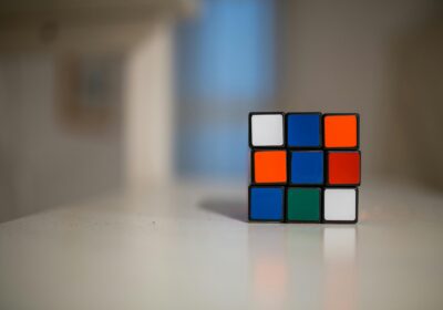 What does a project manager do